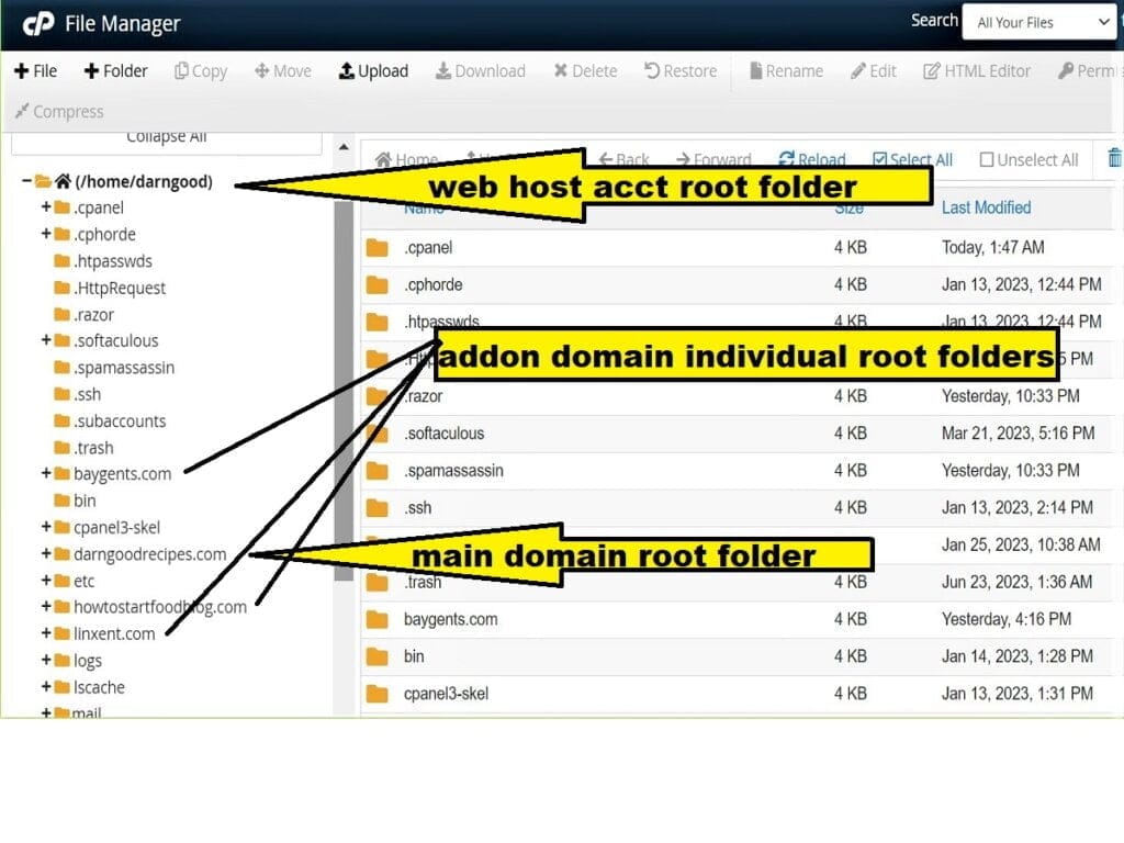 09 checking cpanel file mgr showing indiv root folders of domains