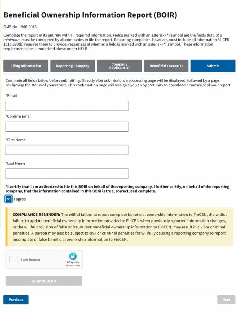 boi reporting filing submit form part 2