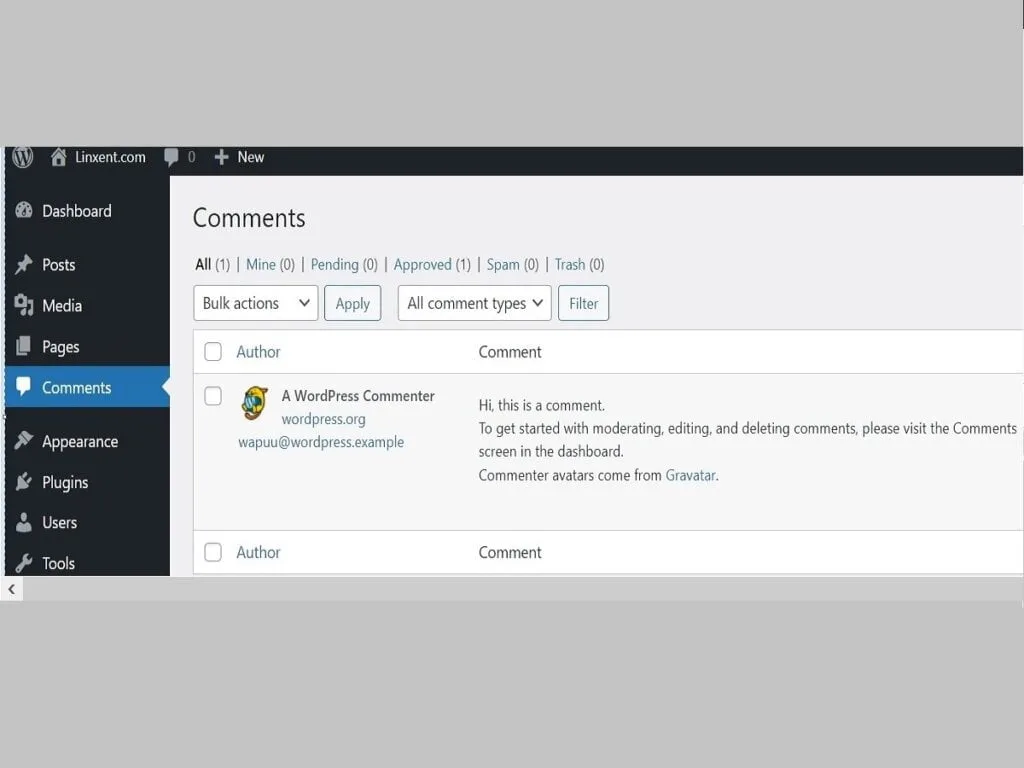 Step3 Comments - Hover to trash default comment step3 comments hover to trash default comment